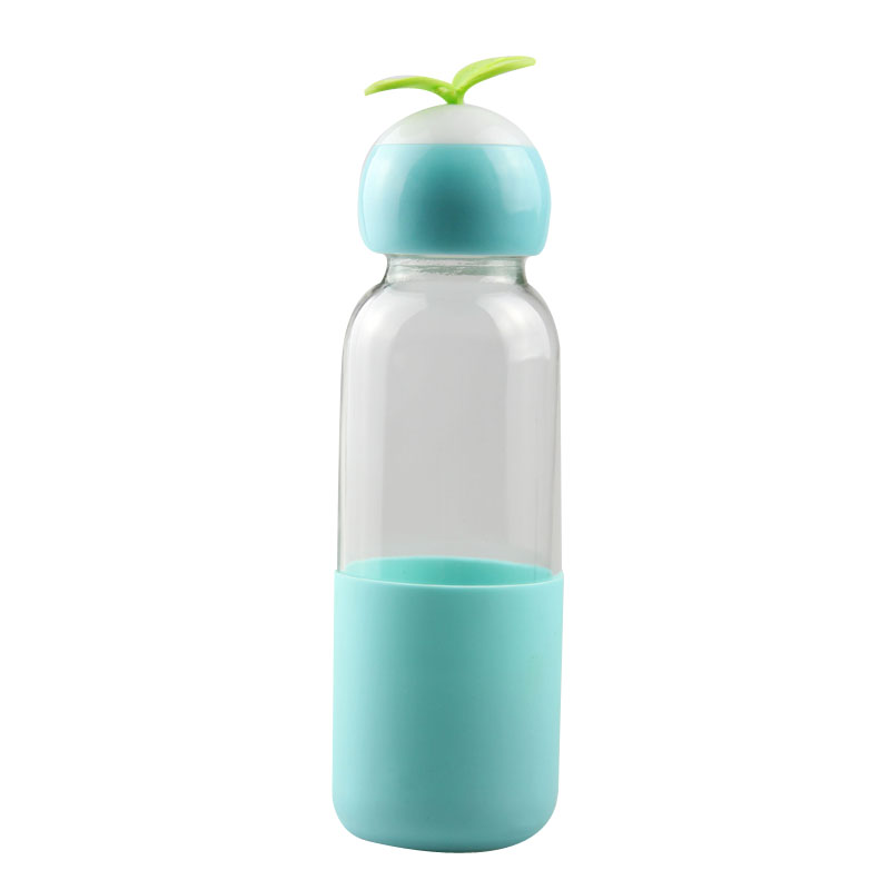 Travel Glass Water Bottles